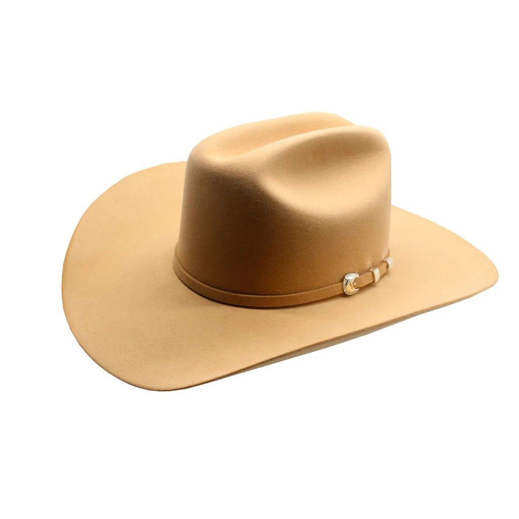 Texanas store stetson 10x